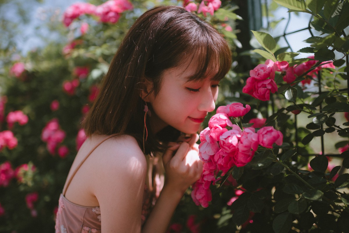 森森—手心蔷薇