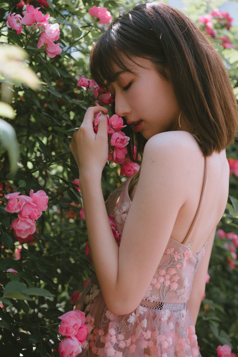 森森—手心蔷薇