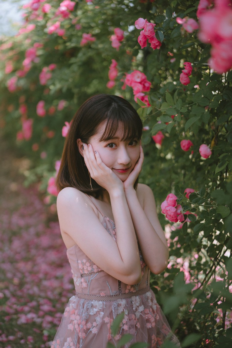森森—手心蔷薇