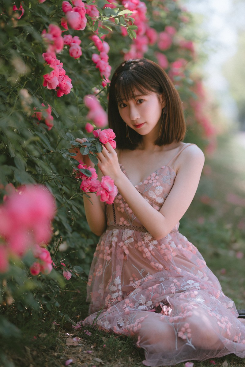 森森—手心蔷薇