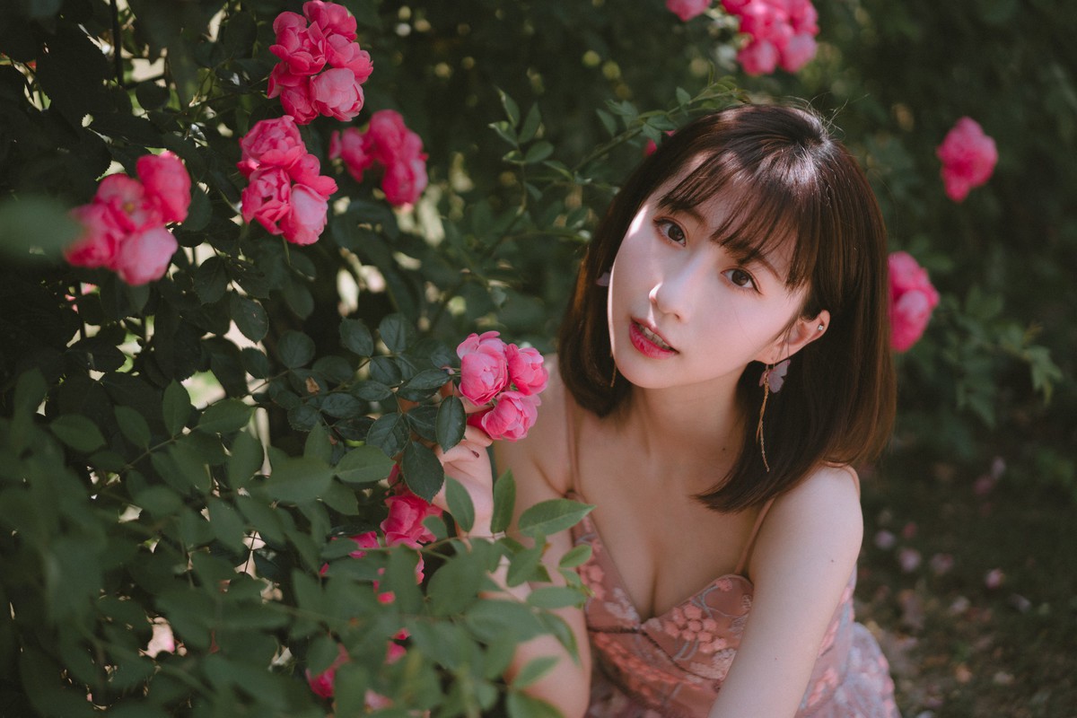 森森—手心蔷薇
