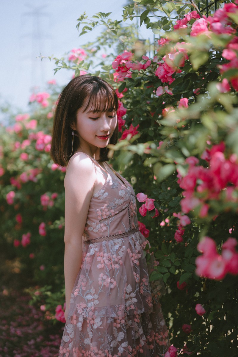 森森—手心蔷薇