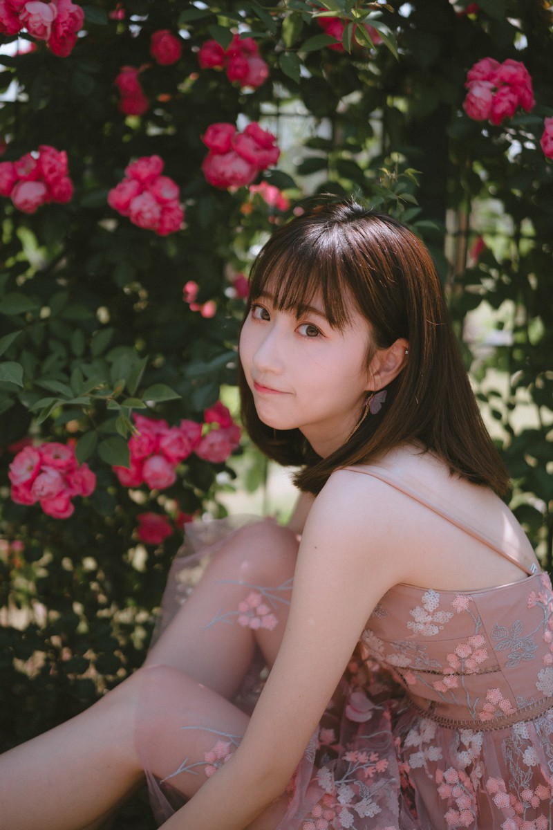 森森—手心蔷薇
