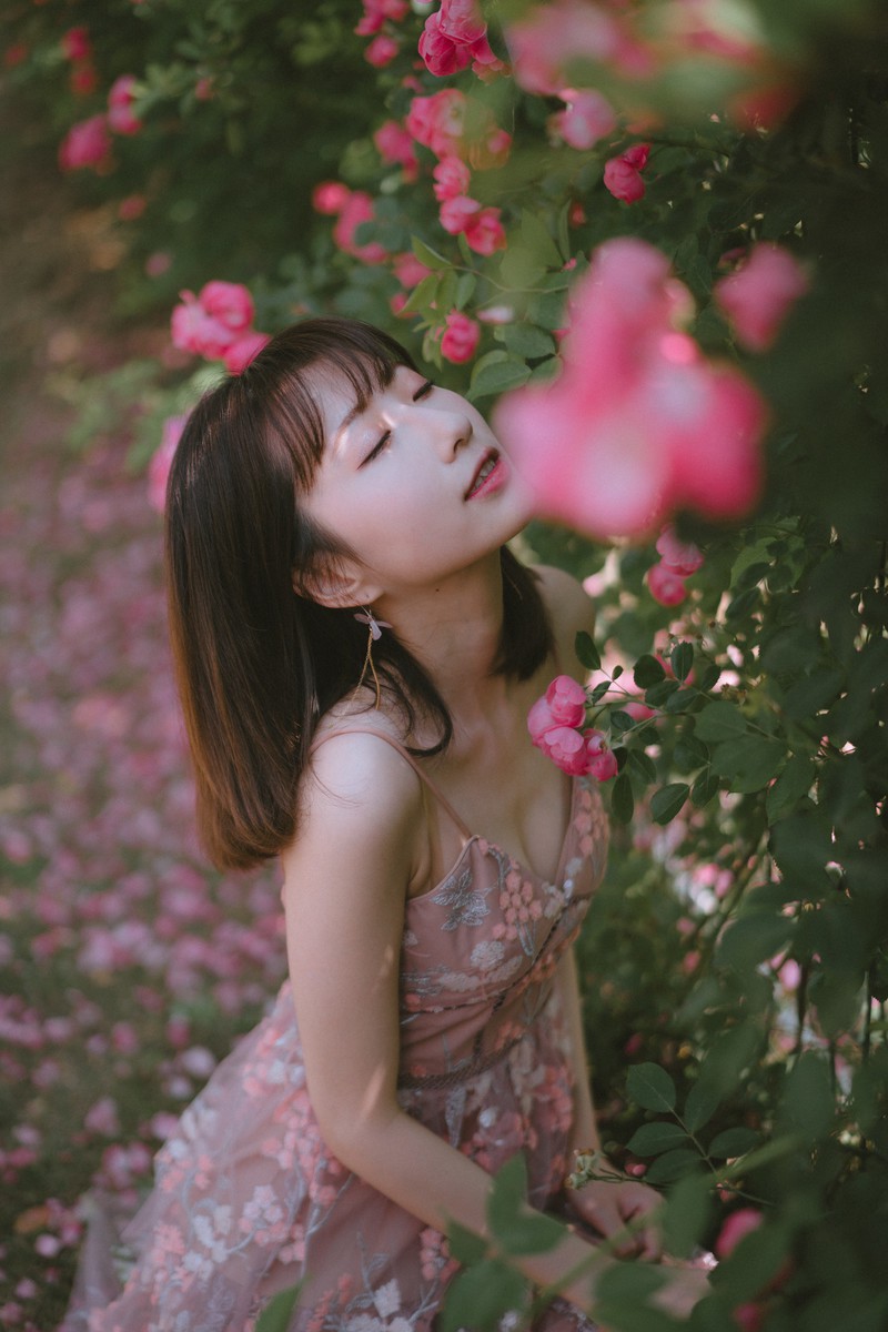 森森—手心蔷薇