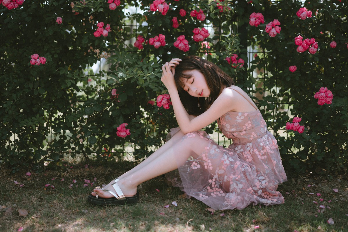 森森—手心蔷薇