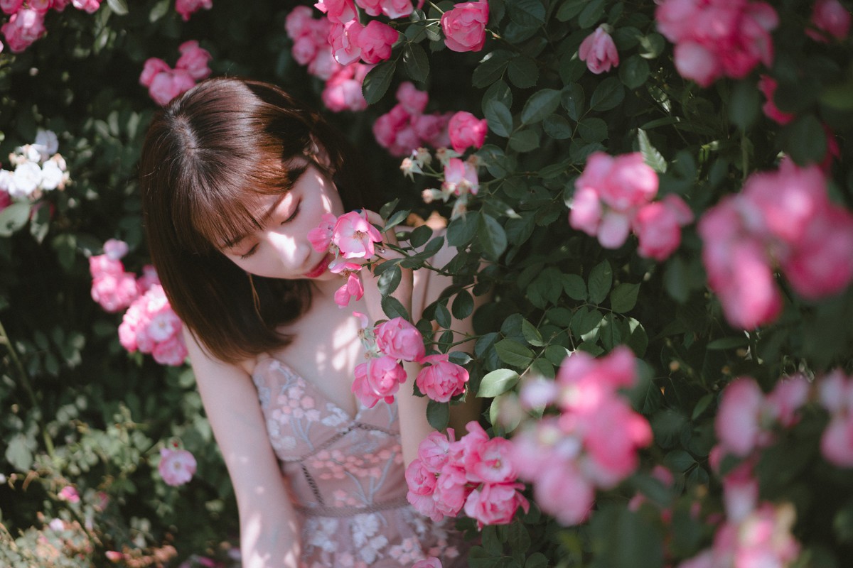 森森—手心蔷薇
