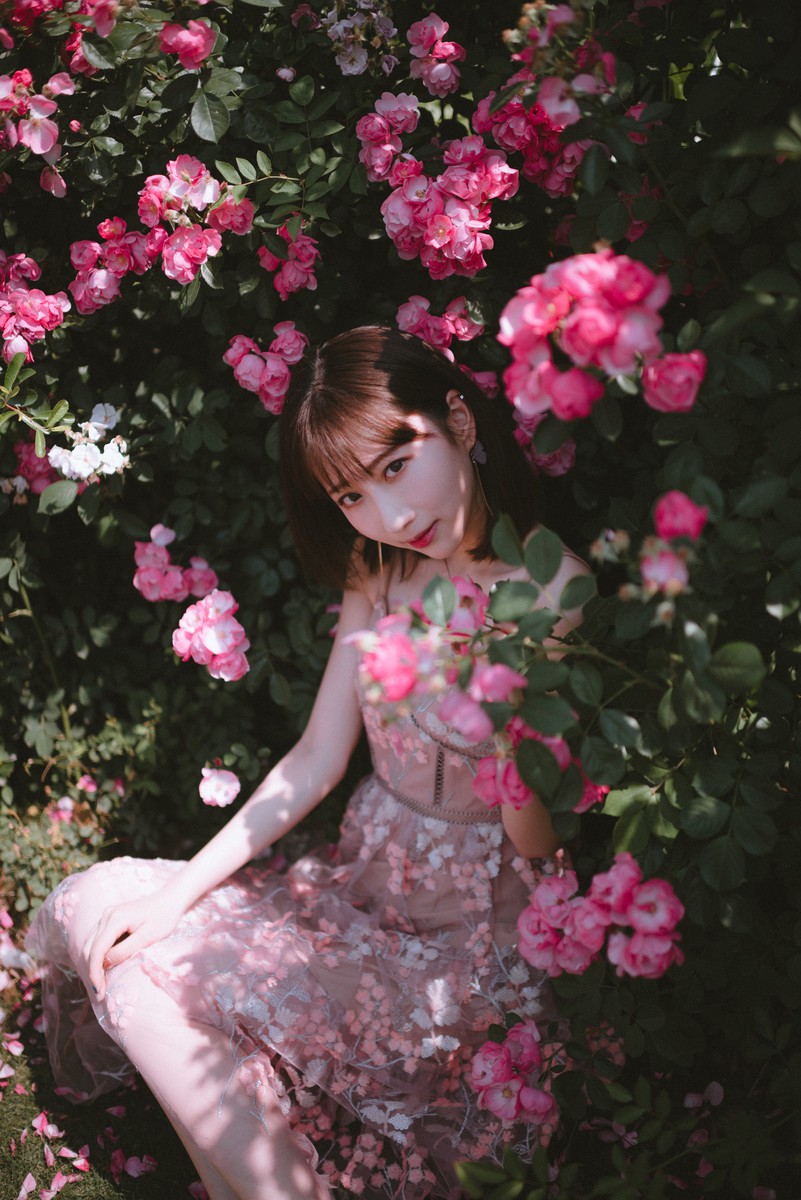 森森—手心蔷薇