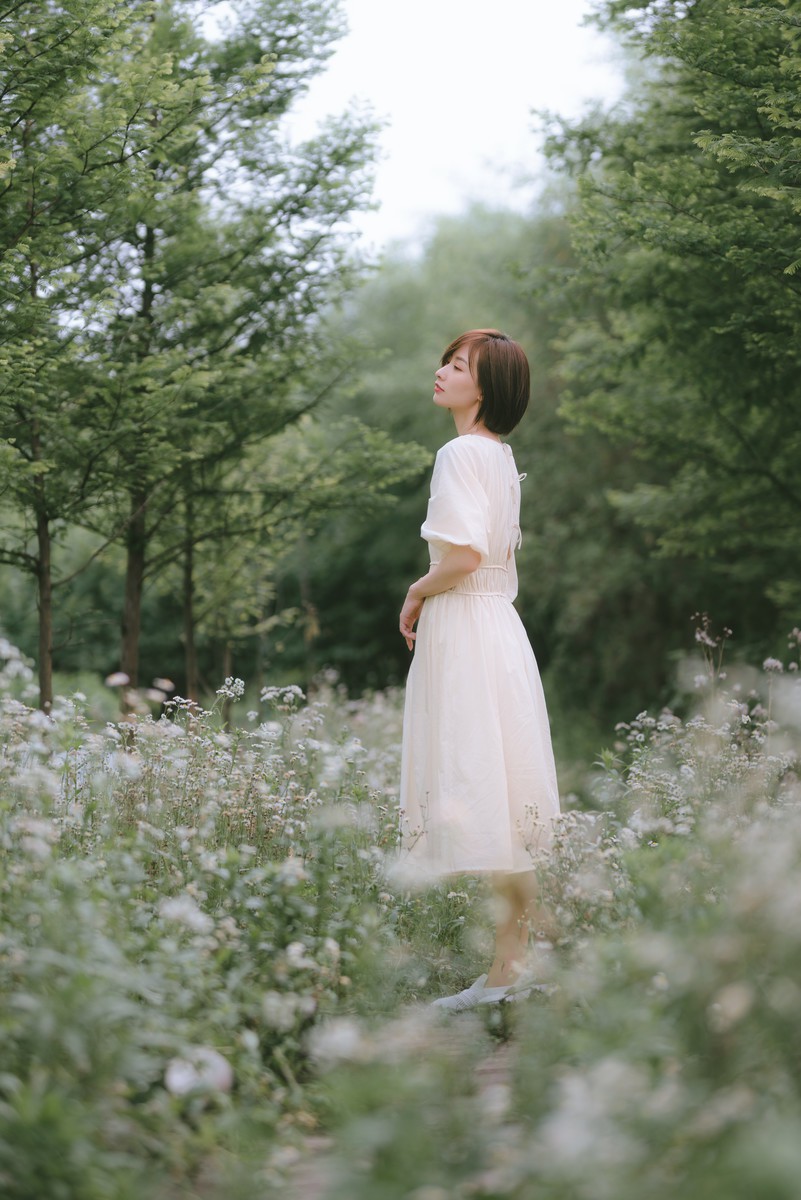 荒江野丘