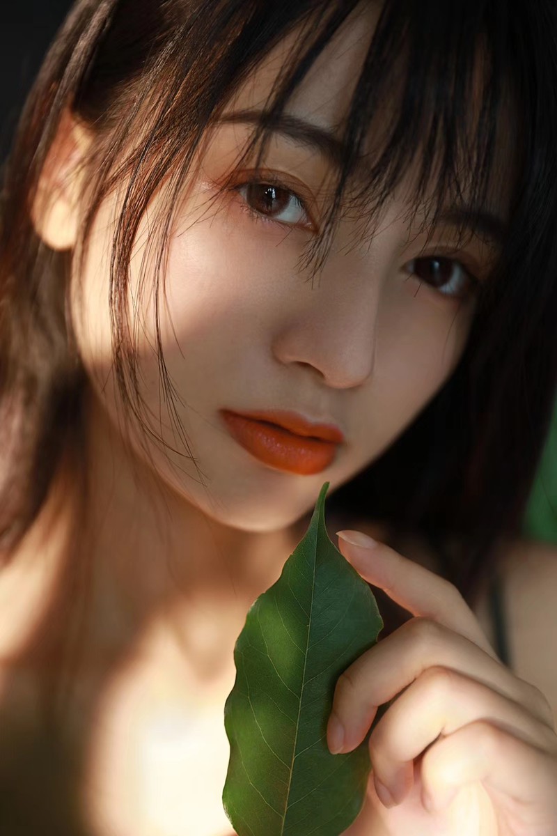 森有白鹿南有乔木