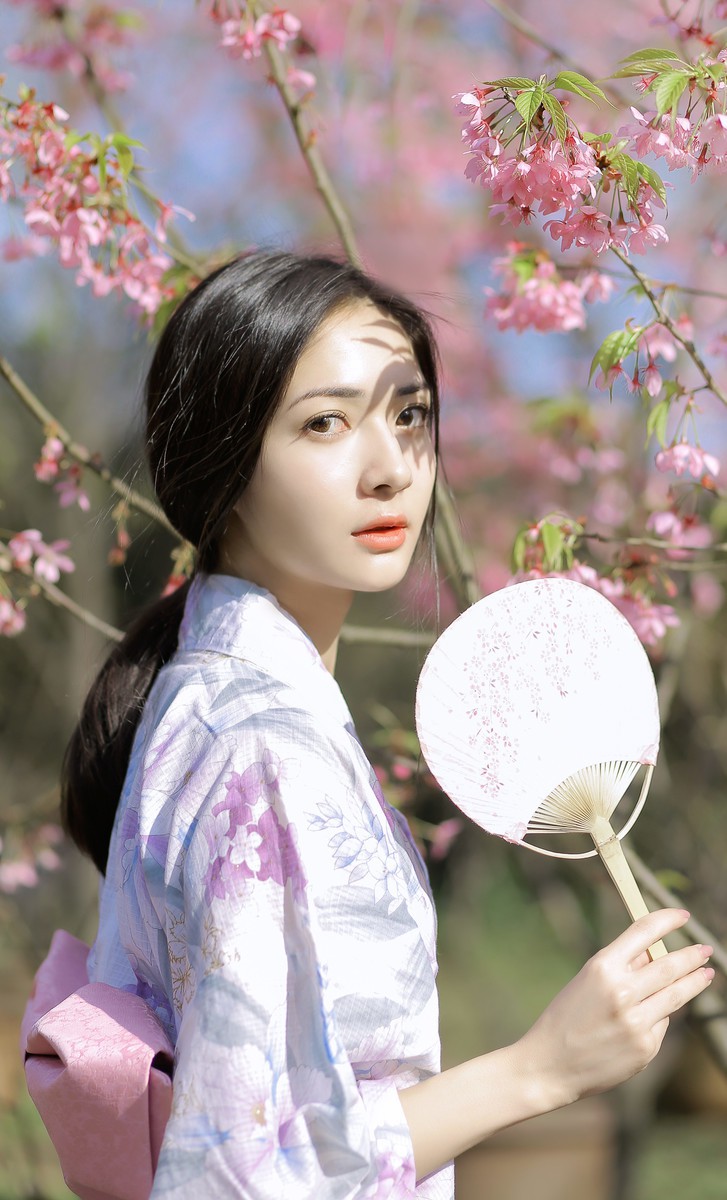 樱花树下的约定