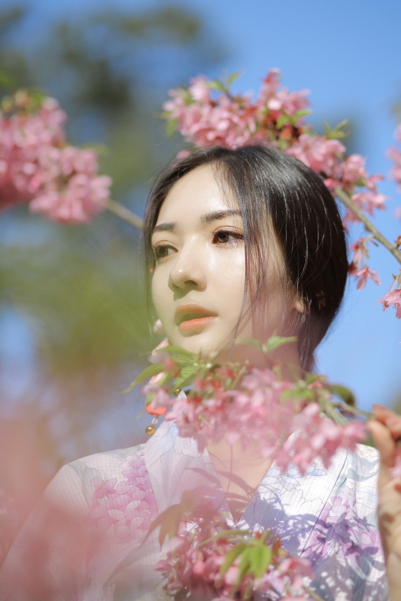 樱花树下的约定