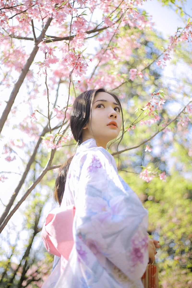 樱花树下的约定