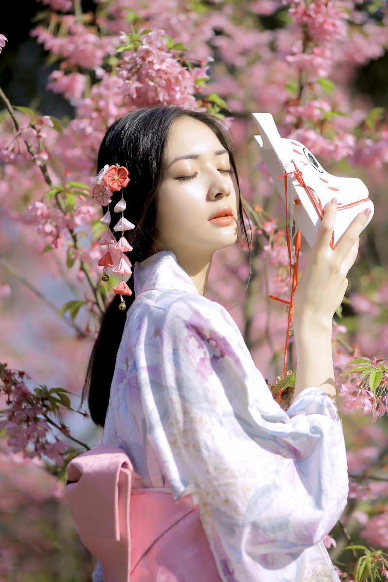 樱花树下的约定