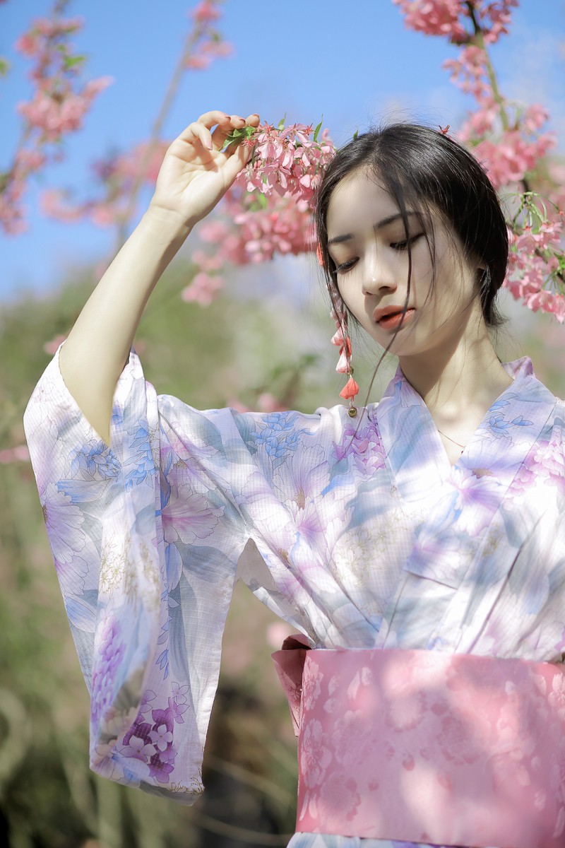 樱花树下的约定