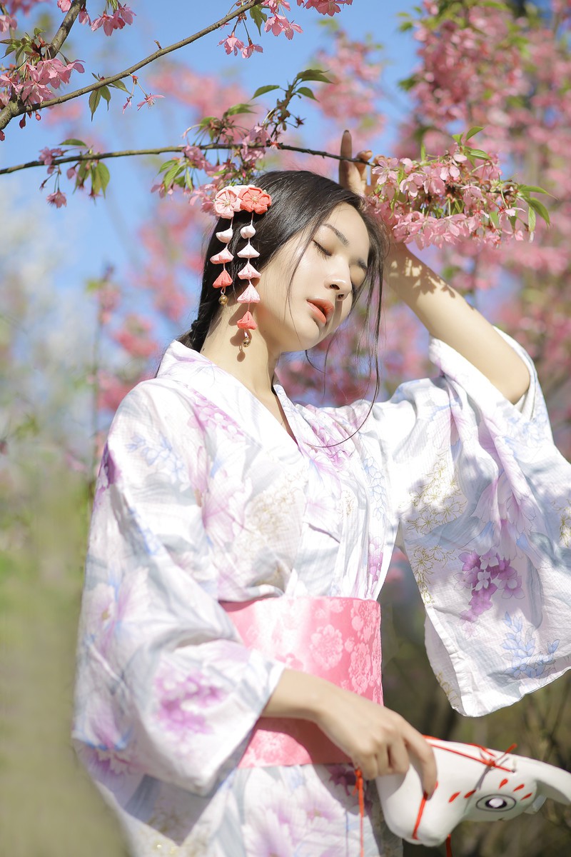 樱花树下的约定
