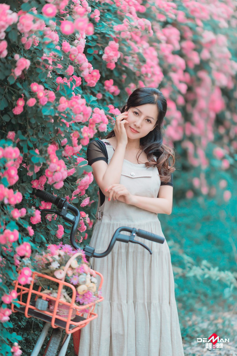 淡如水—我爱蔷薇