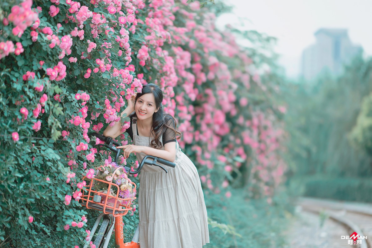 淡如水—我爱蔷薇