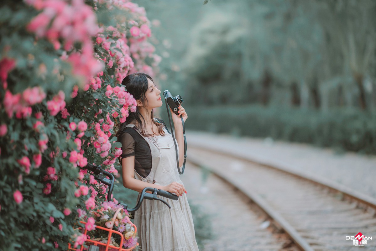 淡如水—我爱蔷薇