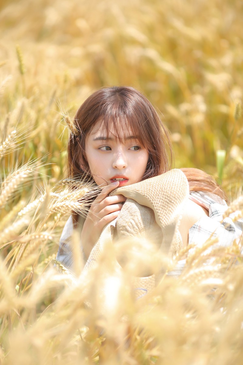 女孩儿的温柔不为世间停留