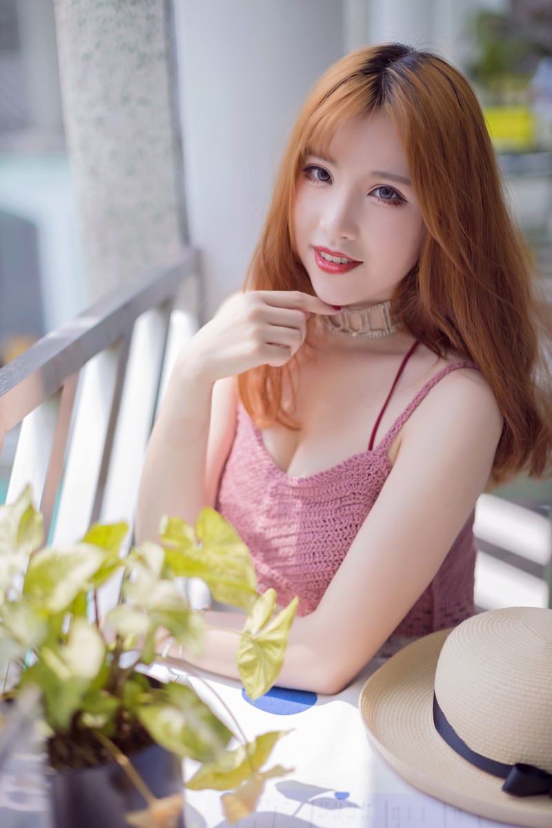 蒴朔