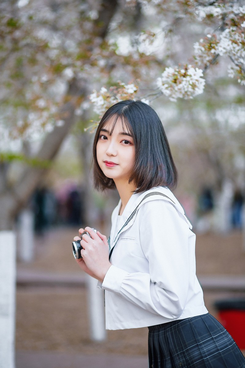 樱花开