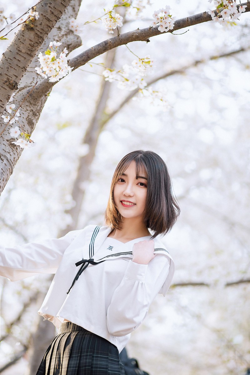 樱花开