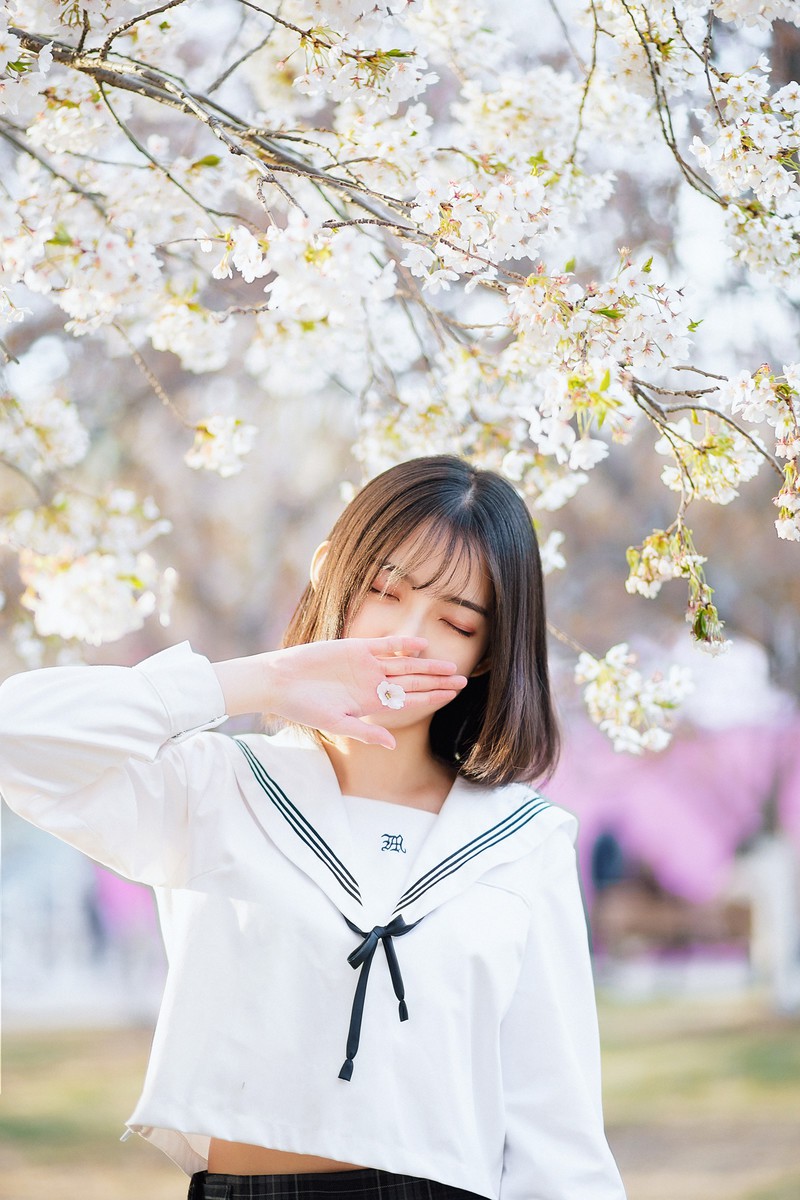 樱花开
