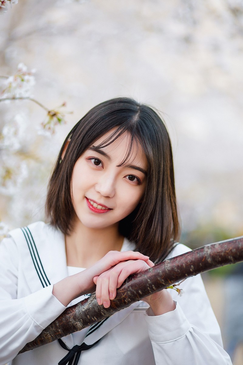 樱花开
