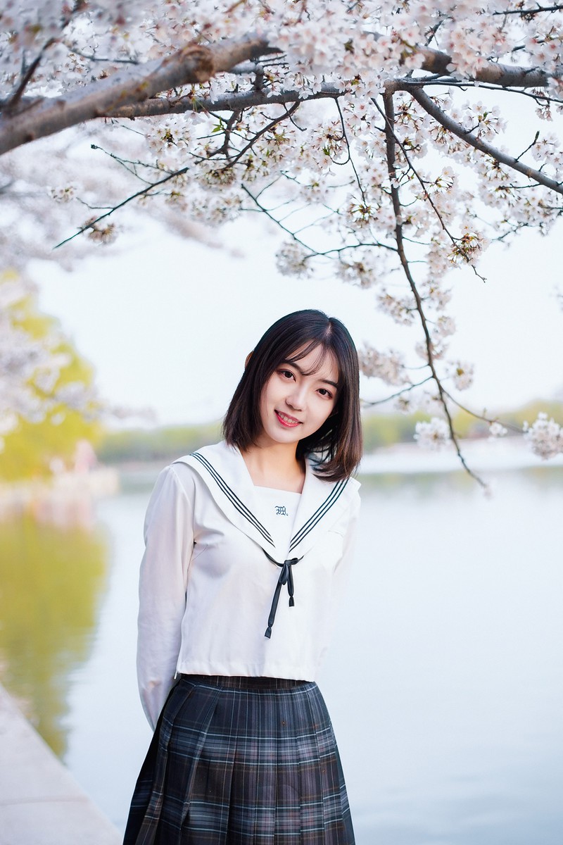 樱花开