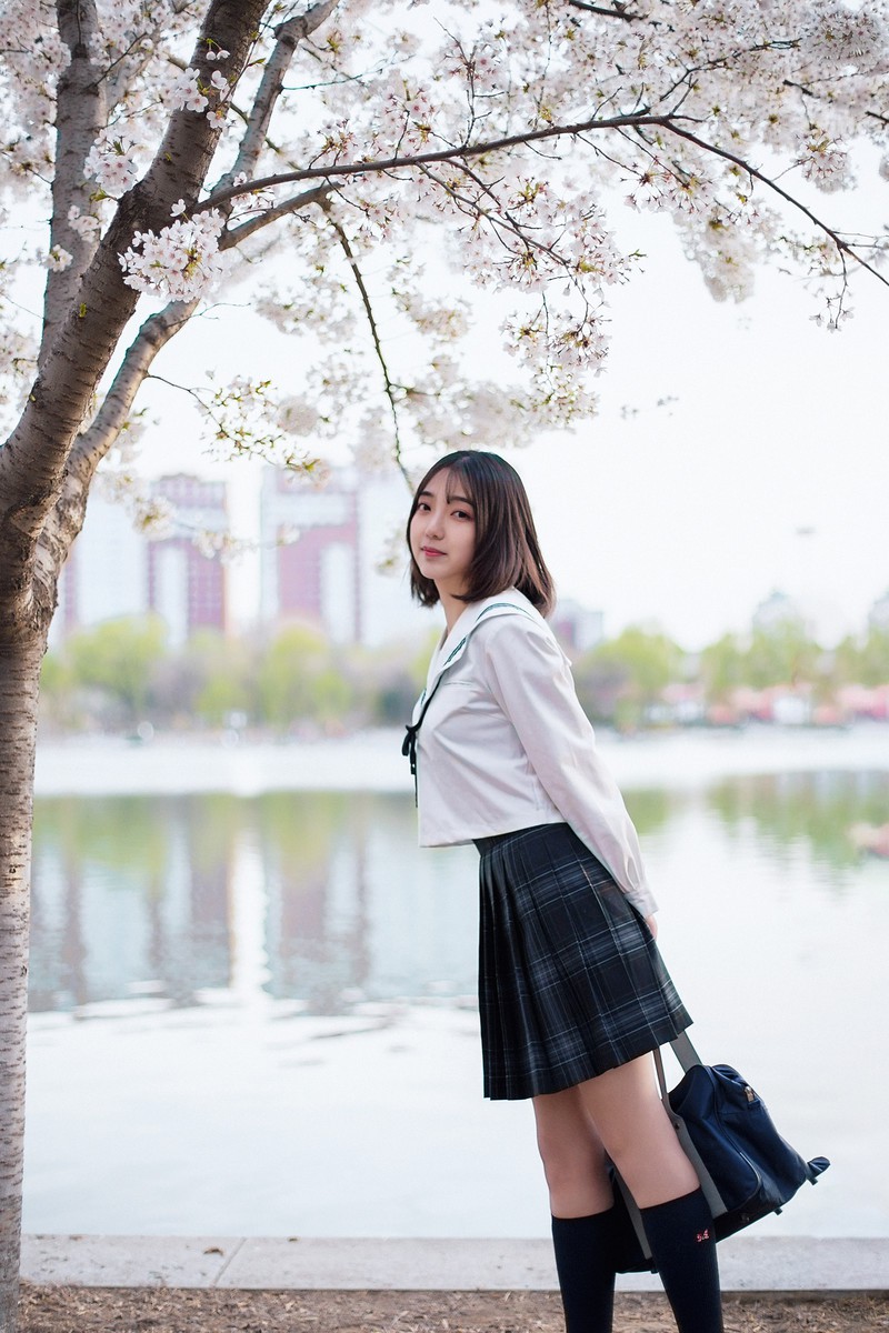 樱花开
