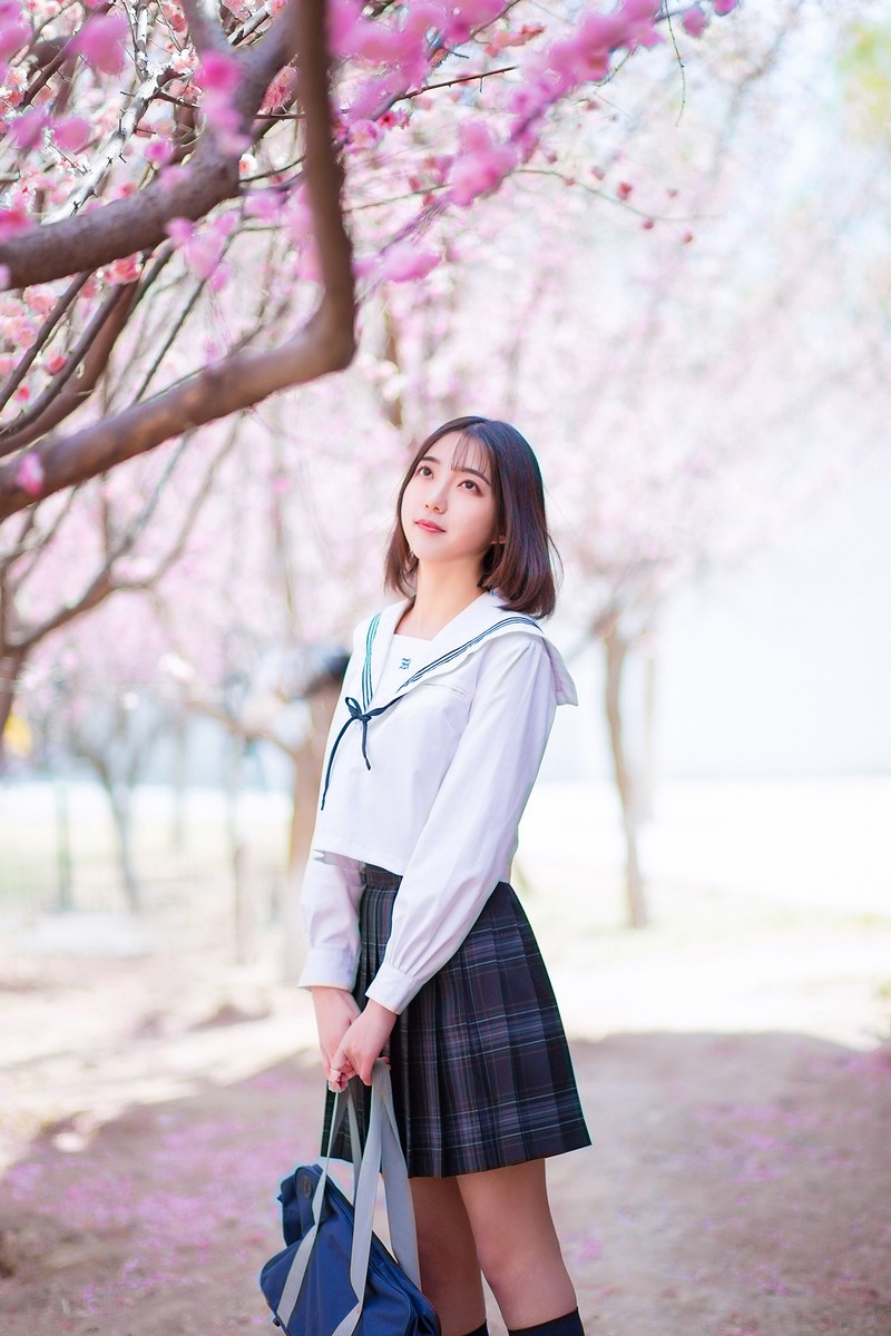 樱花开