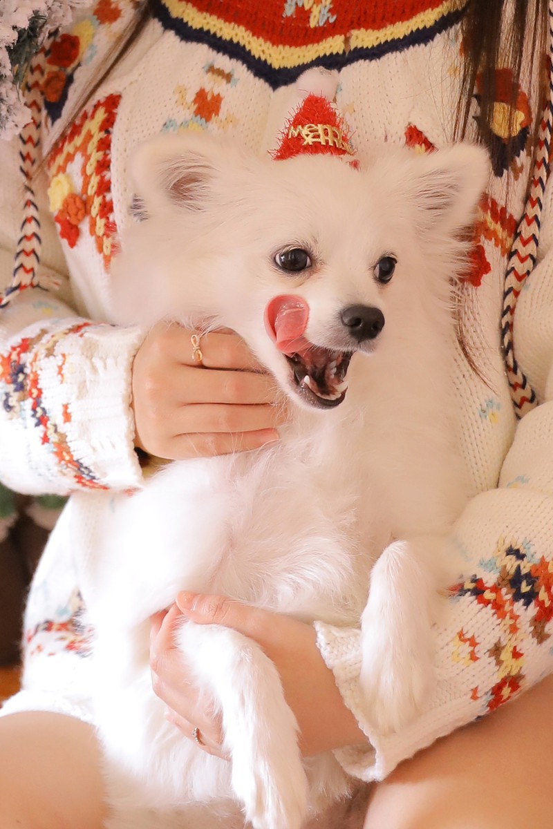 圣诞女孩