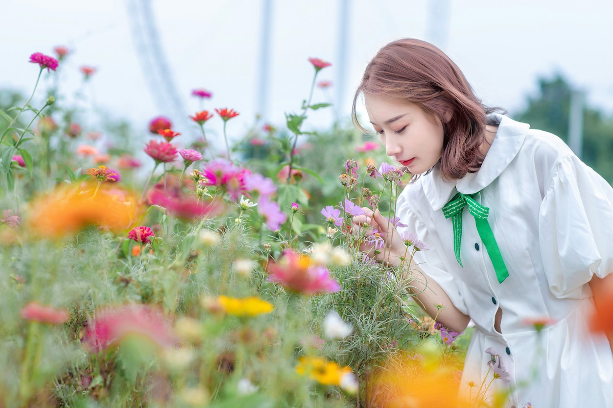 花海
