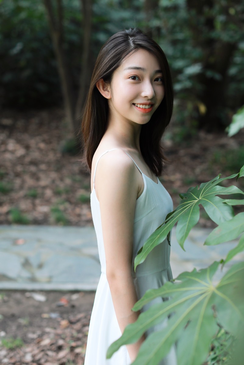 小桦