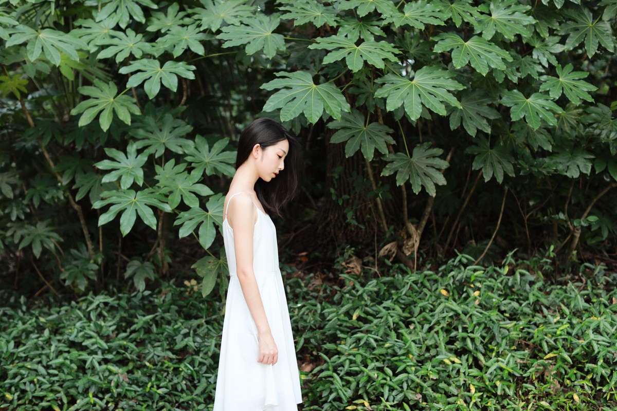 小桦