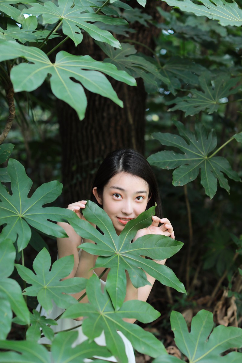 小桦