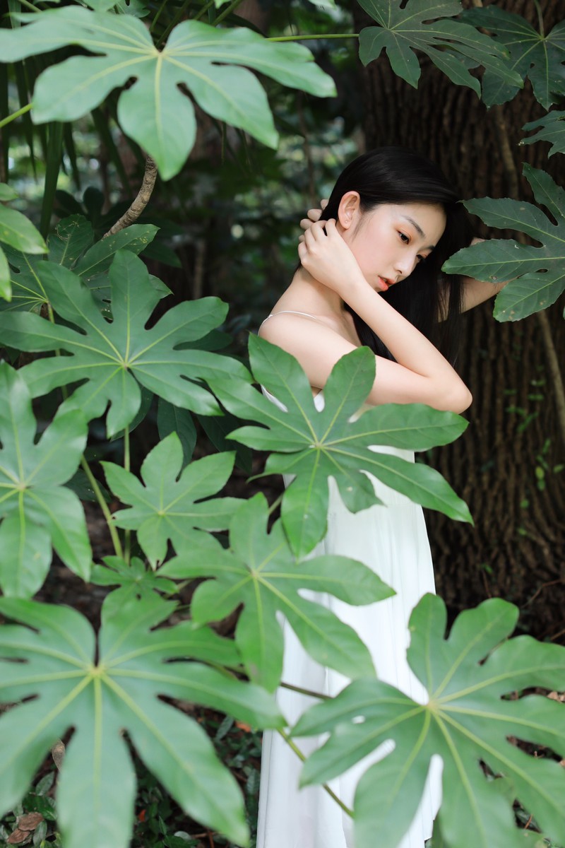小桦