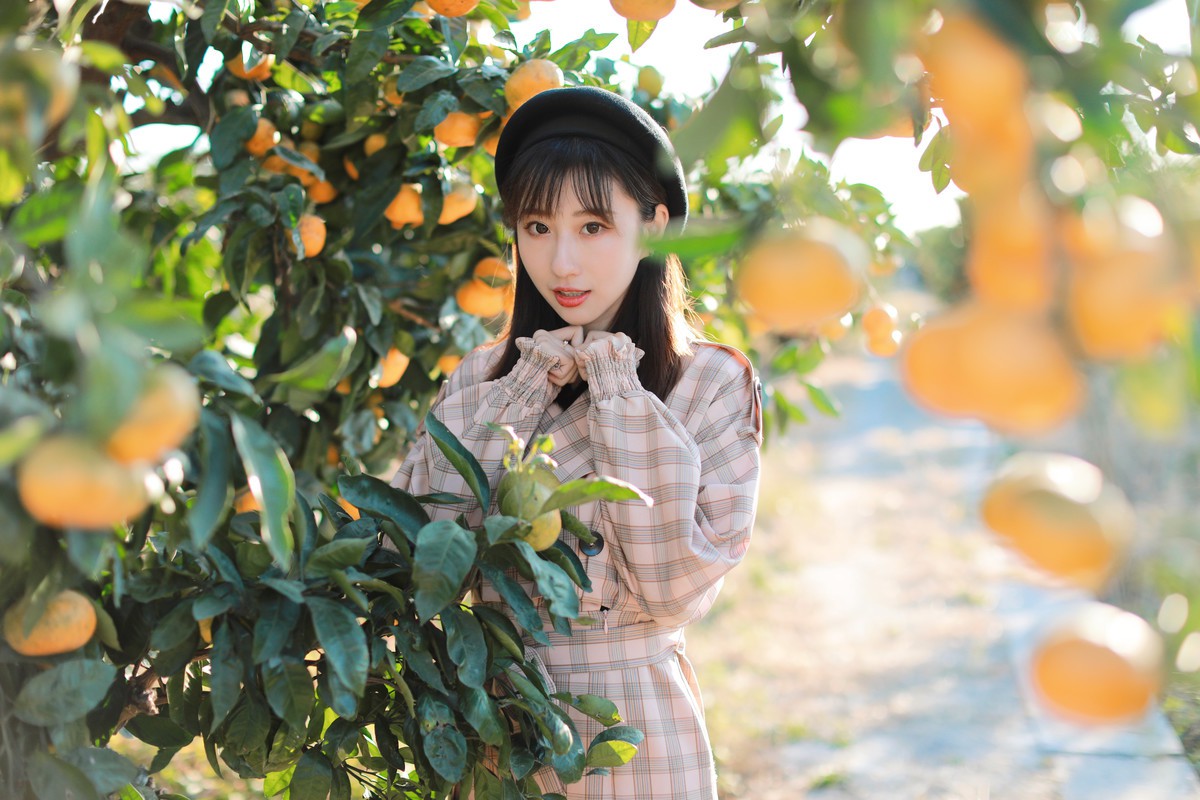 森森—橘子树
