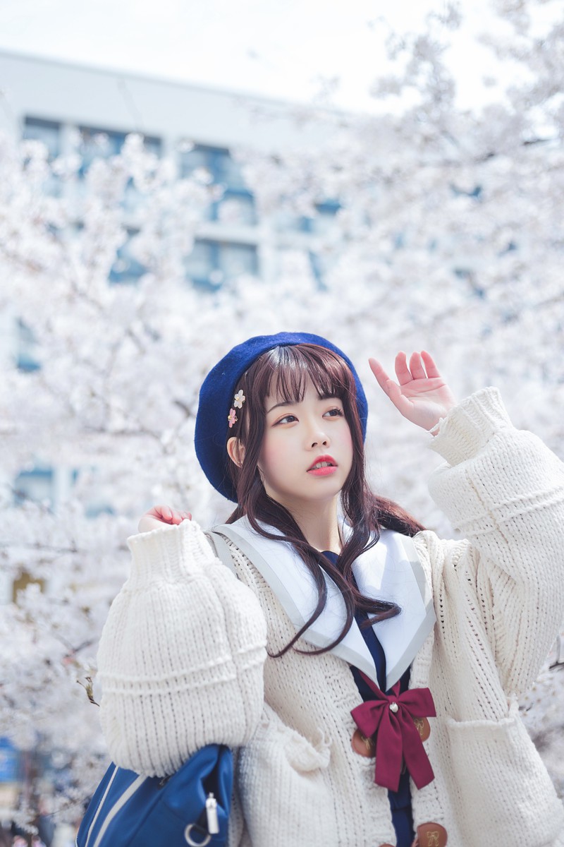 白雪姬x桜