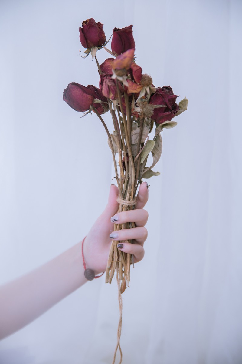 等一朵花开，在那年花落