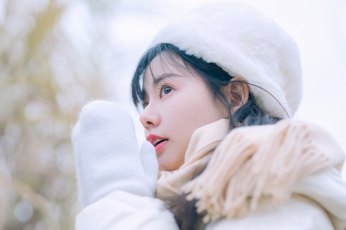小乙—冬之叶