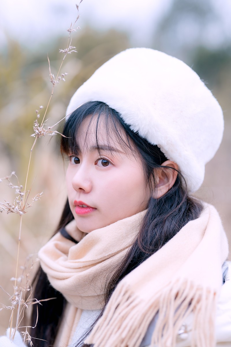 小乙—冬之叶