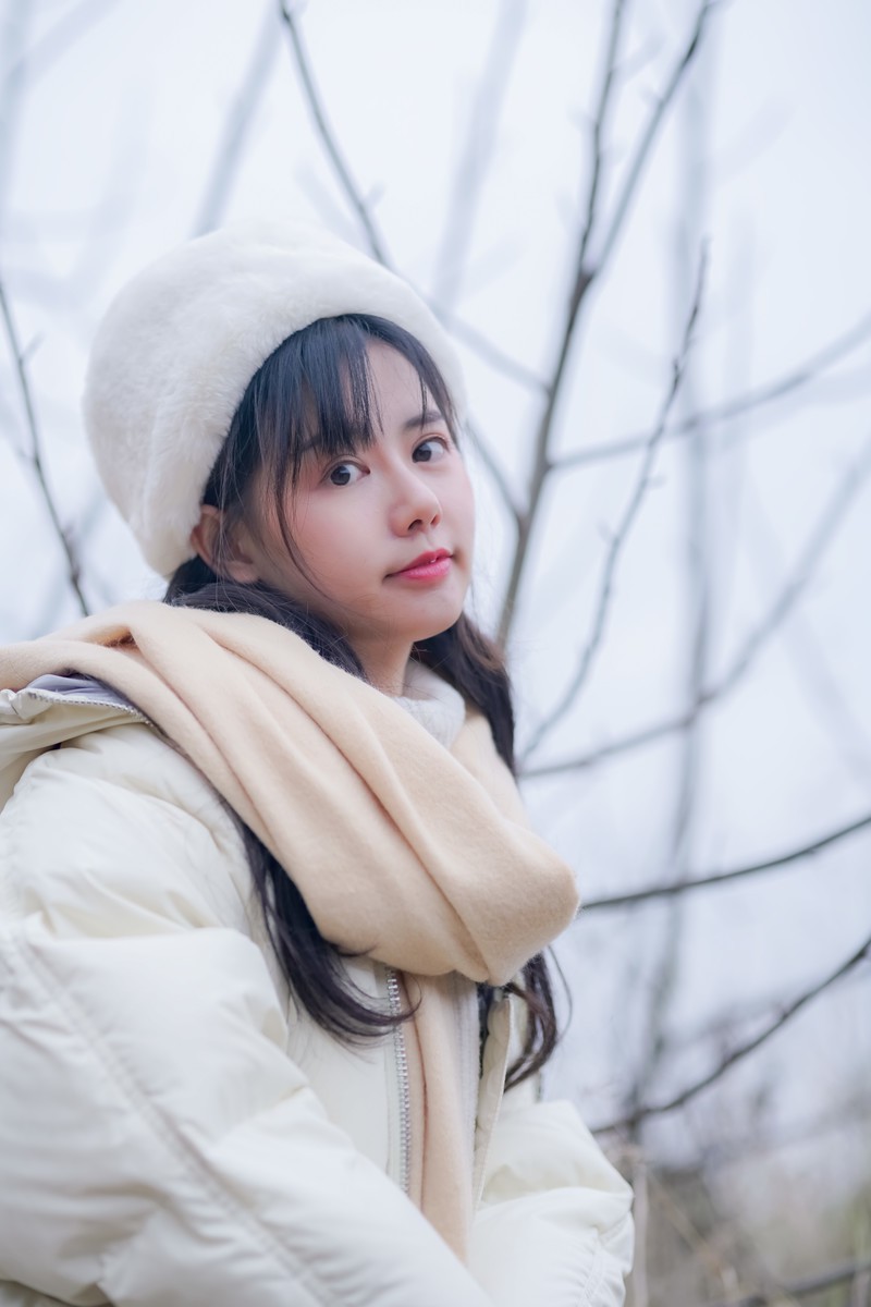 小乙—冬之叶