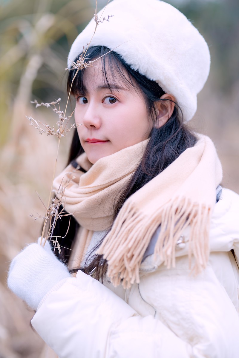 小乙—冬之叶