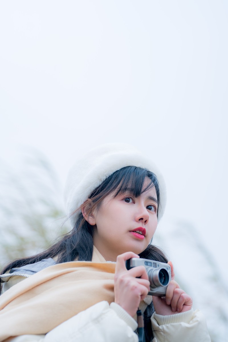 小乙—冬之叶