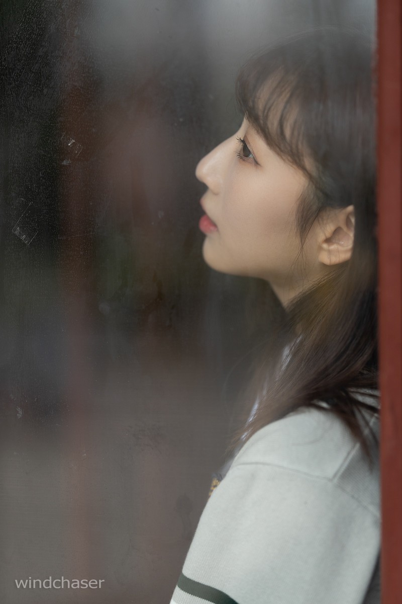 森森