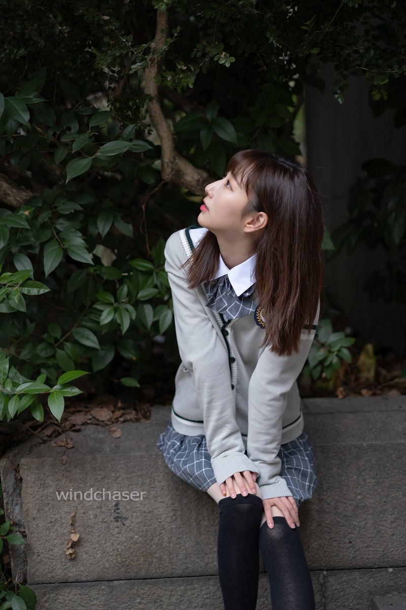 森森