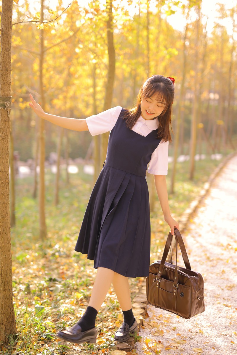 杏的季节
