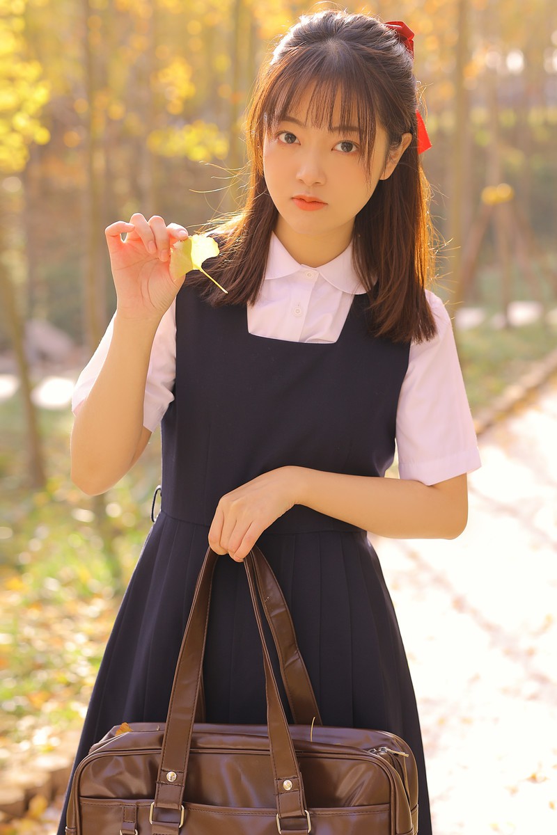 杏的季节