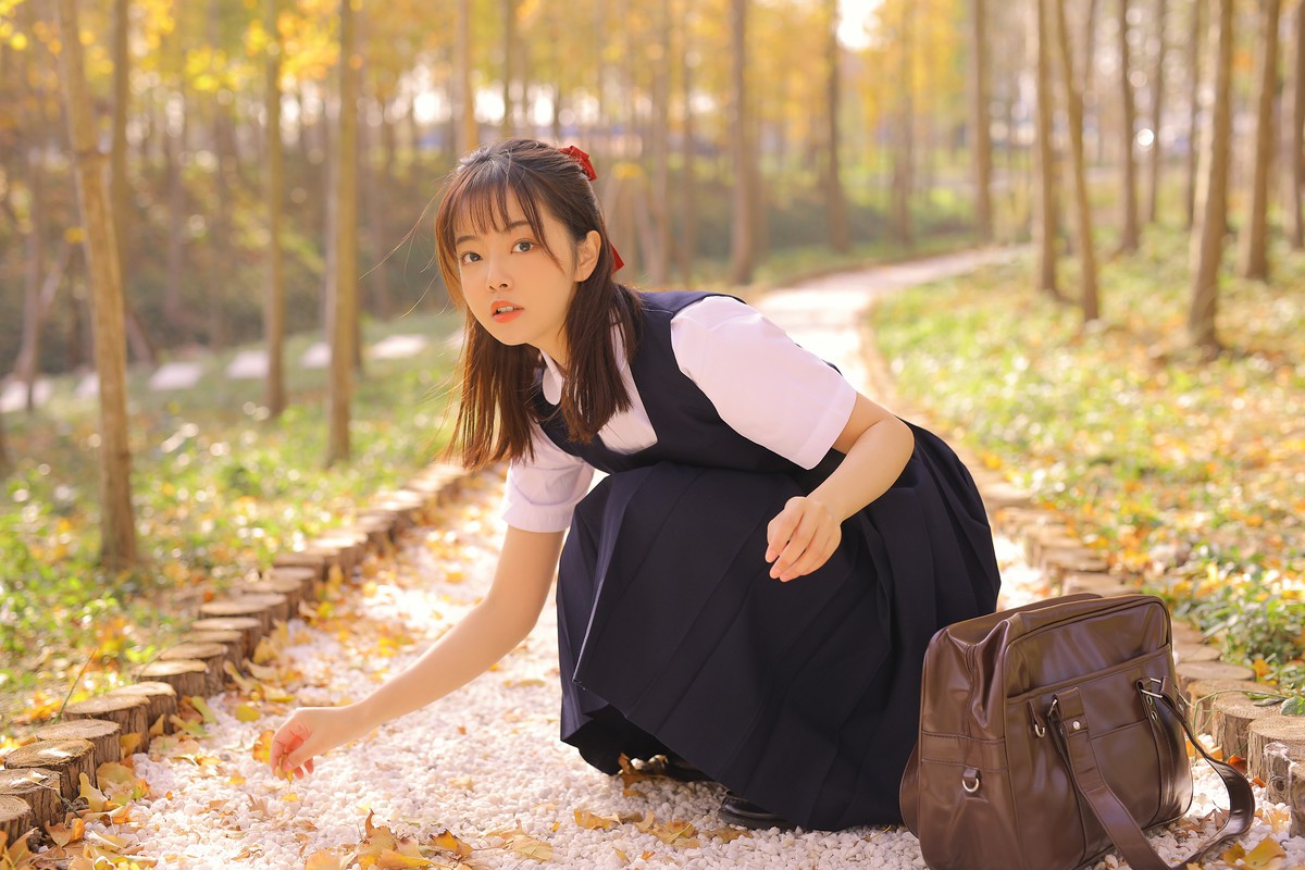 杏的季节